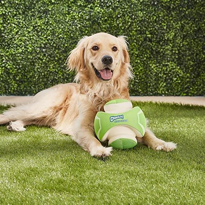 pelotas duras para perros, balones para perros, balon para perros, balon para perros grandes, pelotas para perros pequeÃ±os