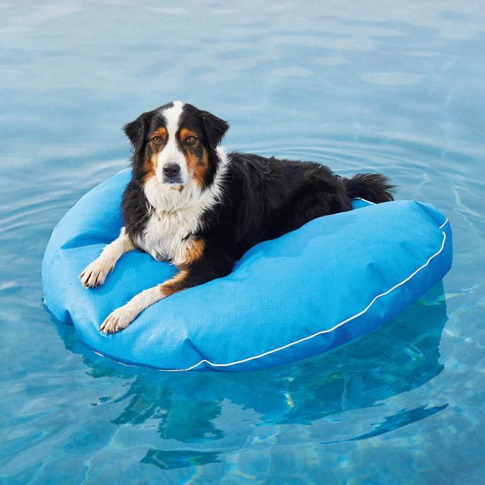 flotador para perros, flotador perros amazon, chaleco flotador para perros, flotadores para perros amazon