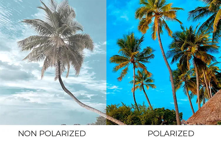 diferencia entre cristales polarizados y normales, diferencia lentes polarizados y normales, diferencia entre lentes polarizados y normales, polarizado que es, que es polarizadas, que significa polarizado, que son cristales polarizados, que son gafas polarizadas, que son las gafas polarizadas, que significa gafas polarizadas