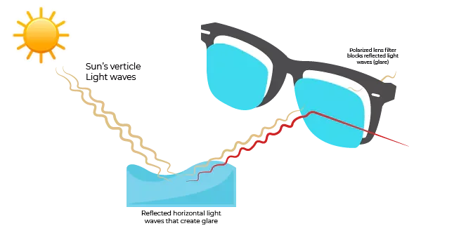 polarizado que es, que es polarizadas, que significa polarizado, que son cristales polarizados, que son gafas polarizadas, que son las gafas polarizadas, que significa gafas polarizadas